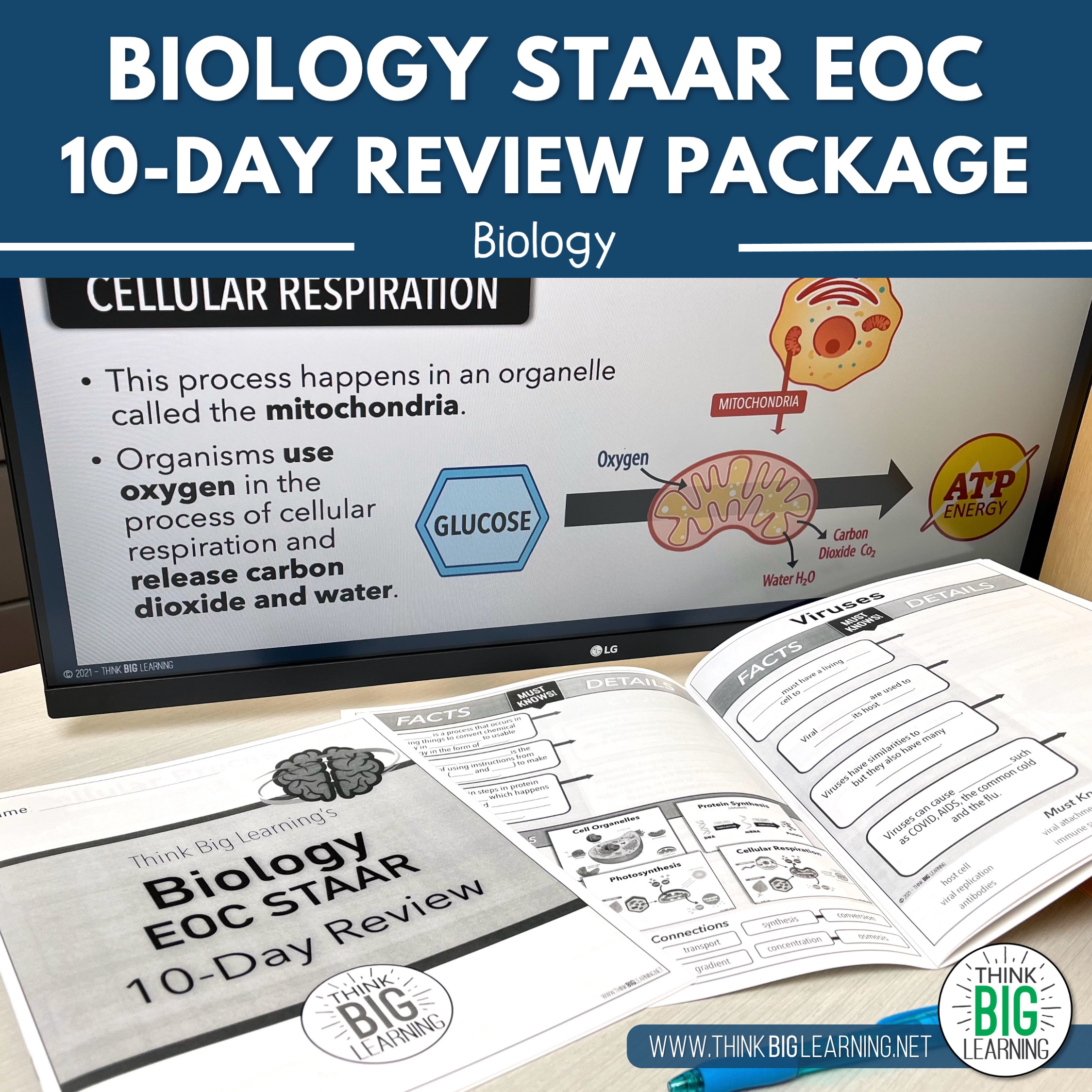 Biology EOC Targeted Review Think Big Learning Biology EOC Targeted Review Think Big Learning